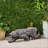 LEOPARD LIGHTWEIGHT CONCRETE BENCH