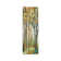Standing Tall II by Allison Pearce - Painting on Canvas