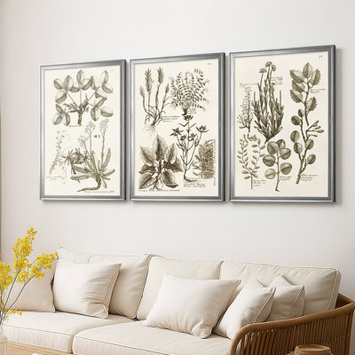 Sépia Botanical Journal VI - Toile tendue avec châssis sur mesure - 3 pièces
