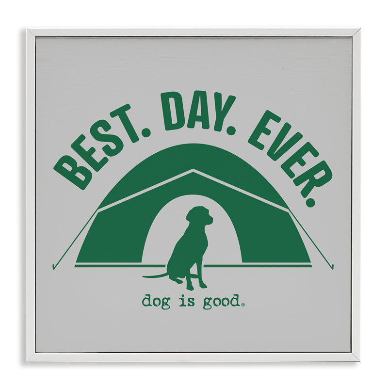  «Best Day Camping Dog», estampe numérique par Dog Is Good, H 17 po x l 17 po, Estampe numérique encadrée blanc bord de mer