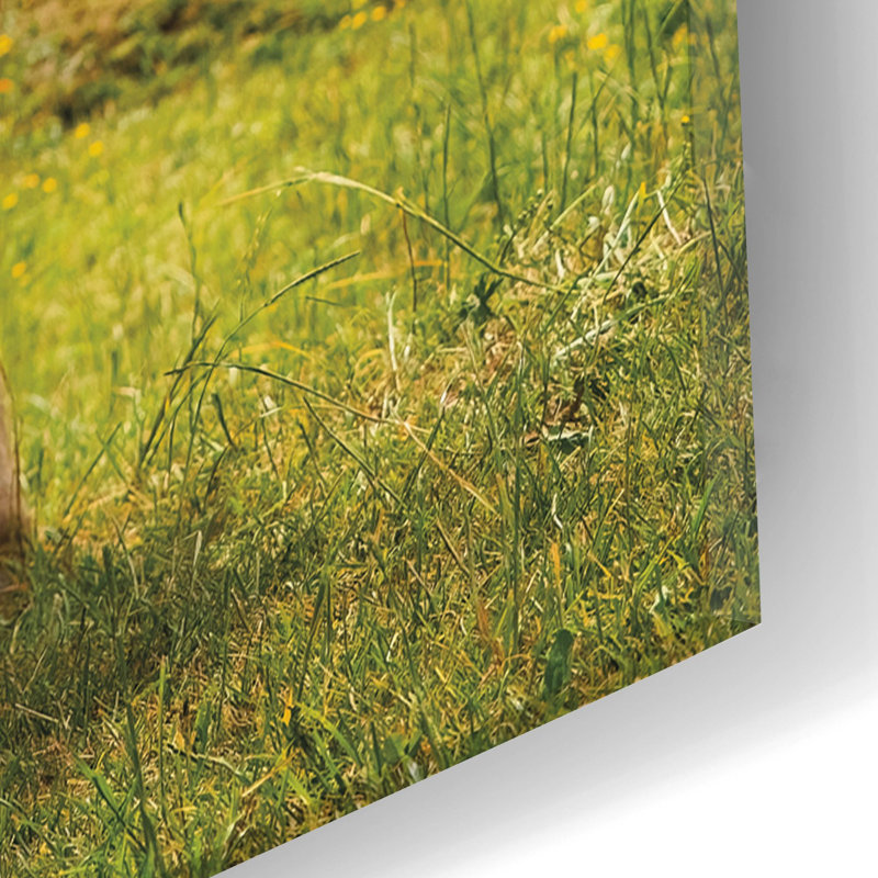  «Vache suisse» par Martin Podt, art mural en verre acrylique, 16 po x 24 po, H 24 po x l 16 po