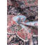Tapis oriental Glendaly-127851173