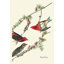 « purple finch » par john james audubon, impression