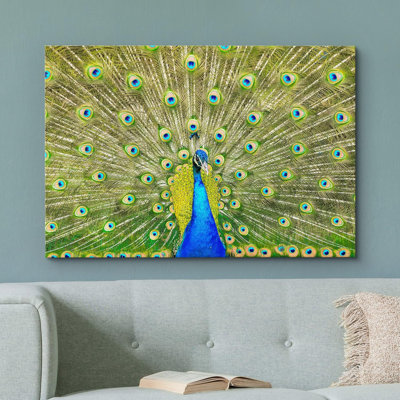 Animaux, paon néon vibrant