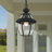 Alexavier Outdoor Hanging Lantern-809966415