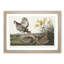 Pinnated Grouse Birds by John Audubon - Framed Print-55616504-55616506