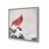 Argent