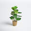 30'' Faux Fiddle Leaf Fig Tree in Wicker/Rattan Basket