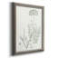 «Botanical Study in Sage V», reproduction d'art sur toile-117204370