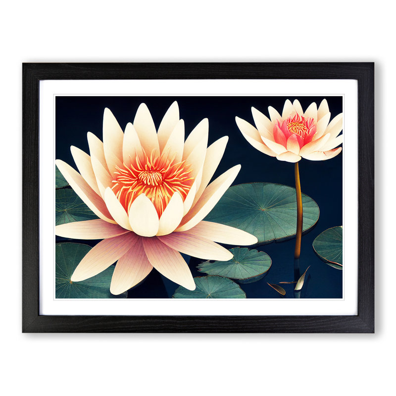 Mystical Water Lily Flowers - Single Picture Frame Print, 46cm H x 64cm W, Black 