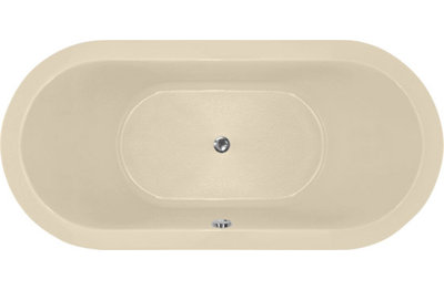 Elle 72'' L Soaking Bathtub