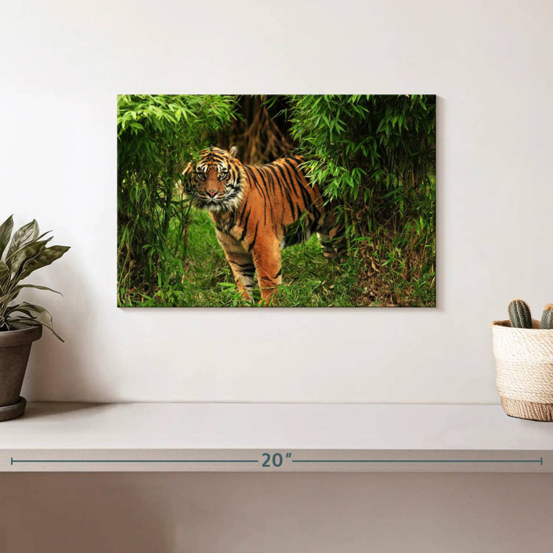 Brampt Jungle Bengal Tiger, 8" H x 12" W