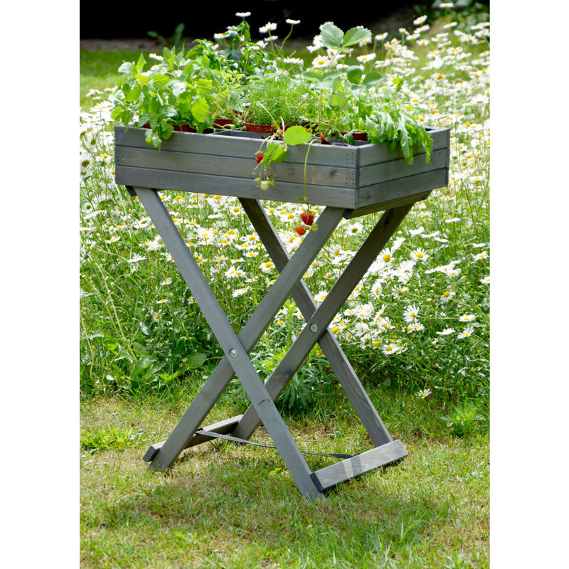 Diaundra Wood Elevated Planter