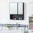 Wall-Mounted Medicine Cabinet