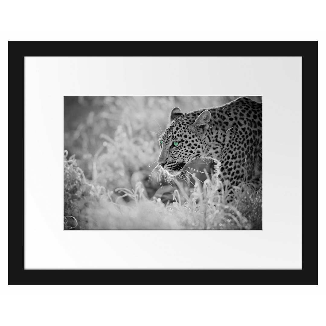 Gerahmtes Poster Schleichender Leopard