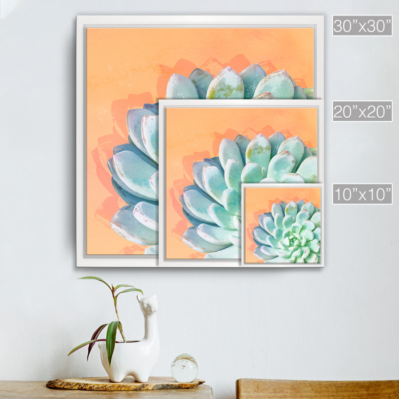 « réveil iv », impression sur toile succulent, H 30 po x l 30 po x P 1,5 po, Cadre blanc