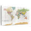 Carte du monde personnalisée avec punaise-1414298024-1414789980