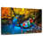 Brampt Safari Parrots-107850429