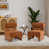 Boucle orange sélectionné