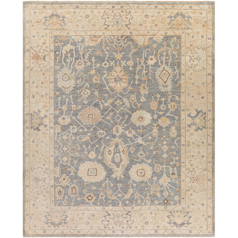Daucourt Wool Oriental Area Rug, Rectangle 8' x 10'