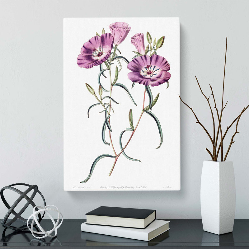 Purple Evening Primrose Flowers - Wrapped Canvas, 50cm H x 35cm W x 3cm D