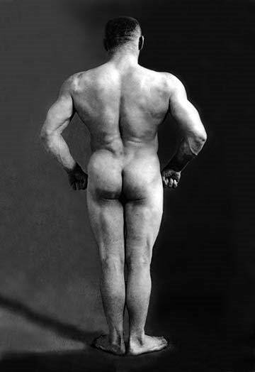" Bodybuilder "