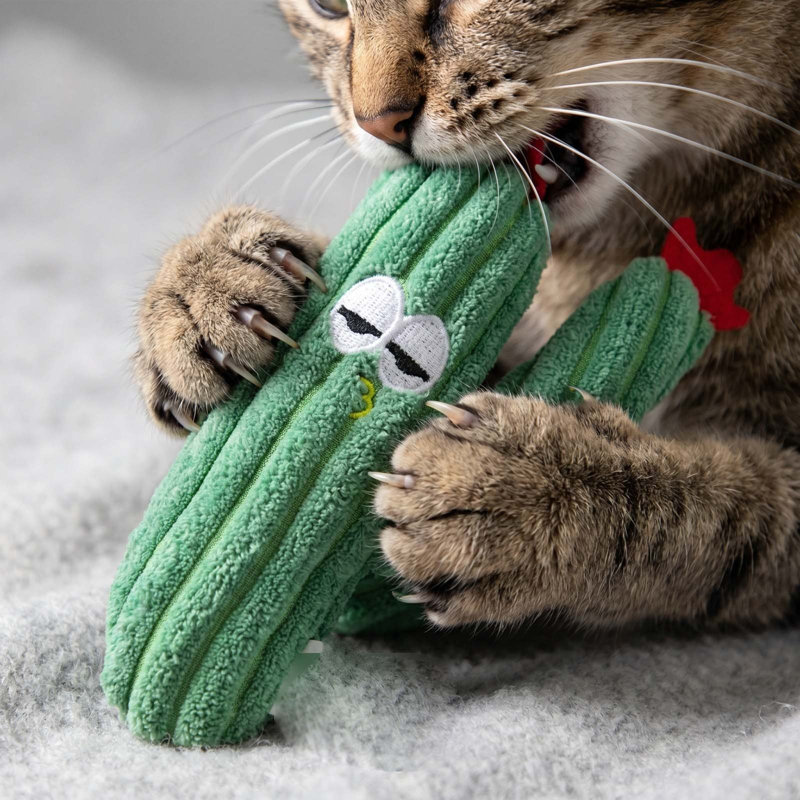 Coussins pour chat Mignon jouets à mâcher grinçant texturés pour chats d'intérieur, MRA