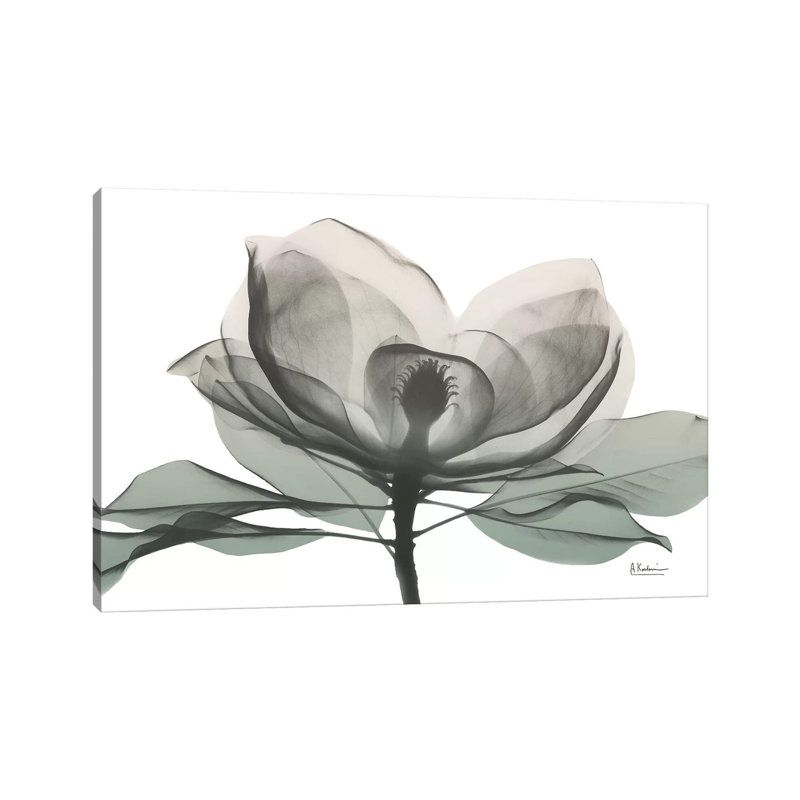 «Sage Magnolia I» par Albert Koetsier - reproduction, H 12 po x l 18 po x 1,5 po