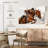 Sireci Equestrian Show Jumping-106323073
