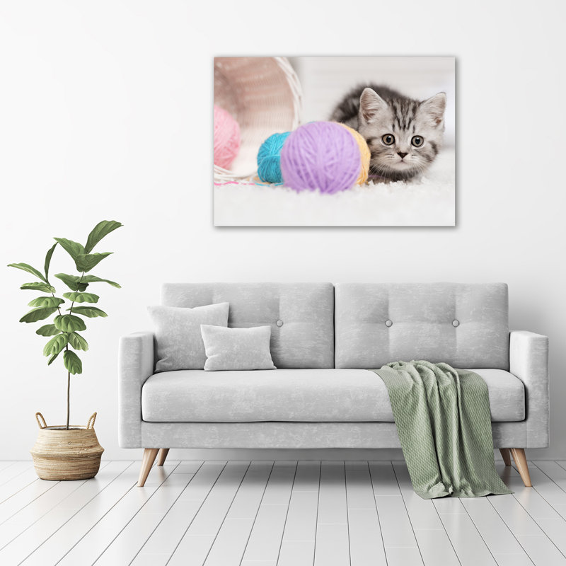 Cat With Hanks - No Frame Print on Canvas