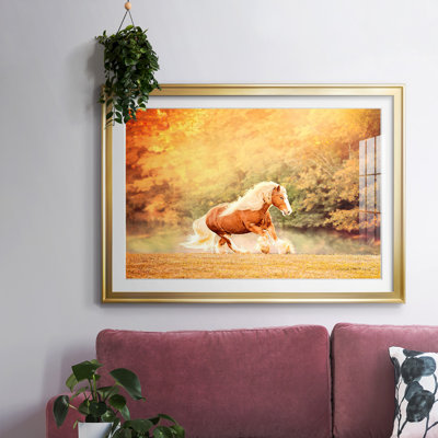 " Horse Motion II "