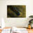Linda's Flatworm-2145755394