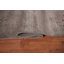 Tapis tribal Gabbeh de couleur terre 8 x 10
