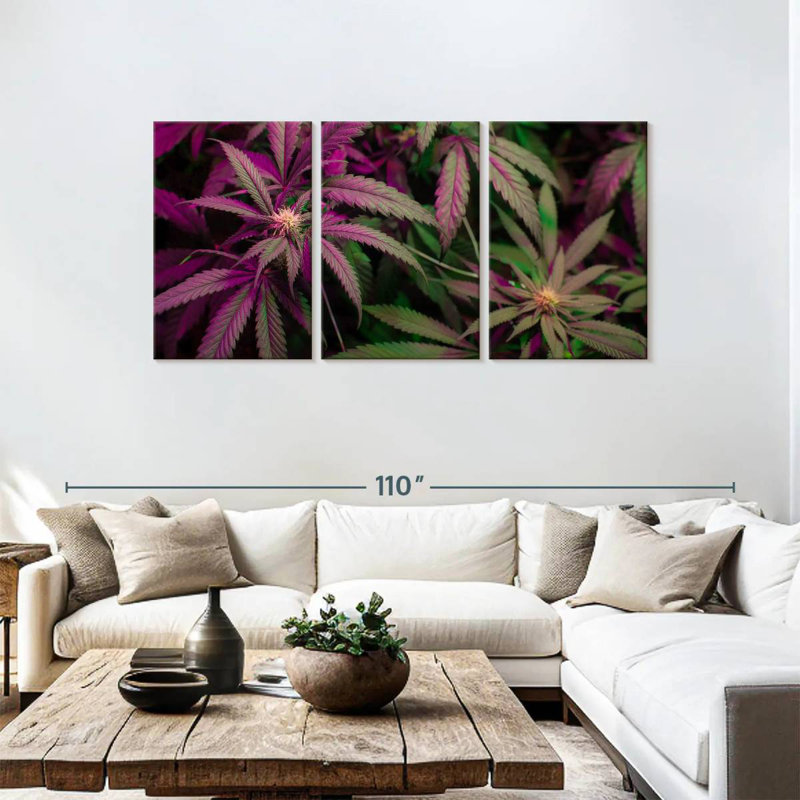 Lavander Marijuana, 39" H x 80" W