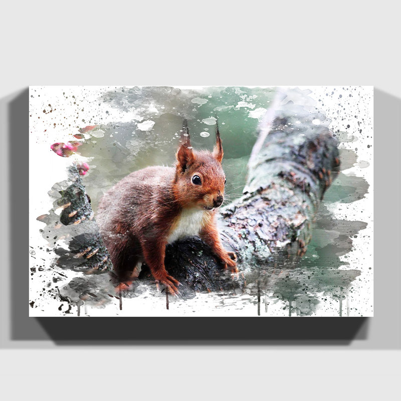 Red Squirrel - Wall Art, 70cm H x 100cm W, Wrapped Canvas