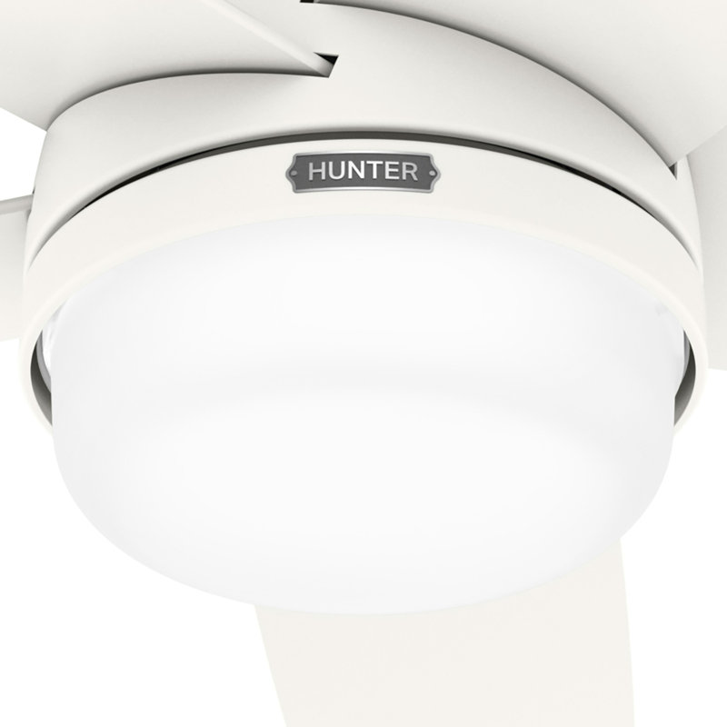 Hunter 52 inch Damp Rated Ceiling Fan with LED Light Kit and Handheld Remote, White, Fresh White/Light Gray Oak