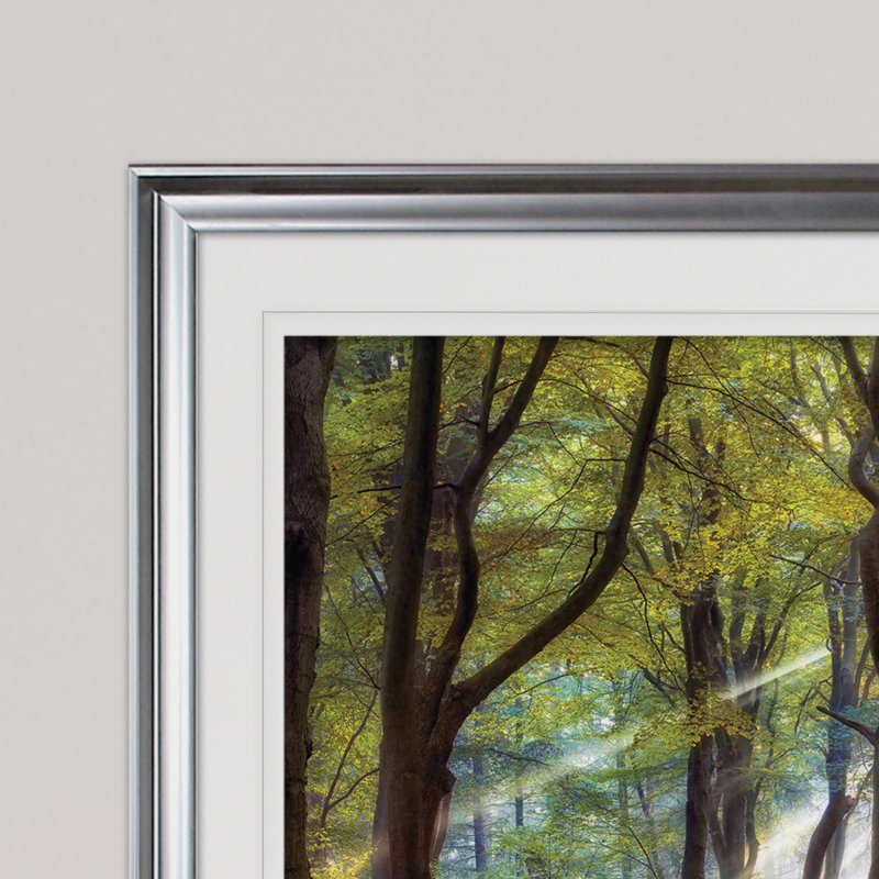 Majestic Morning - impression, Cadre argenté, H 24 po x l 32 po x P 1,5 po
