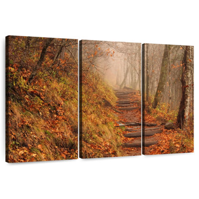 Sentier des Appalaches Alvord Misty Autumn