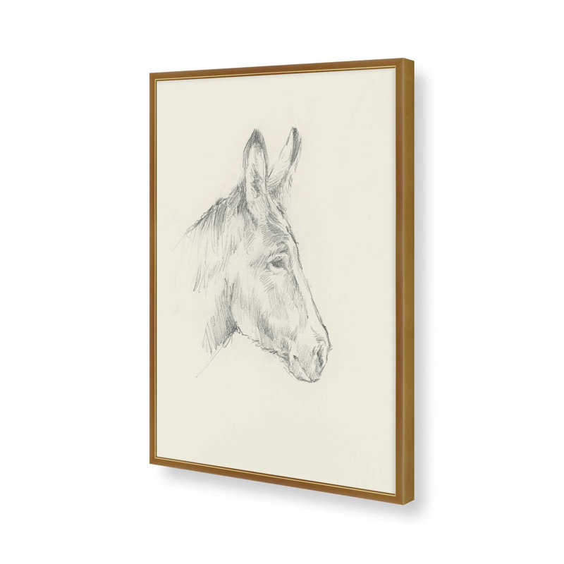 «Donkey Study I» par Ethan Harper, reproduction d'art sur toile, H 48 po x l 36 po, Doré
