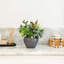 7 po Vase noir rond