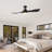 Popovich 52'' Ceiling Fan with LED Lights-2048101143