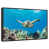 Floating Frame Black