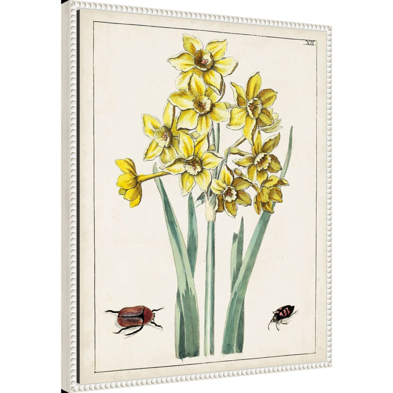 «Dutch Florals III», reproduction d'art sur toile encadrée, H 28 po x l 23 po