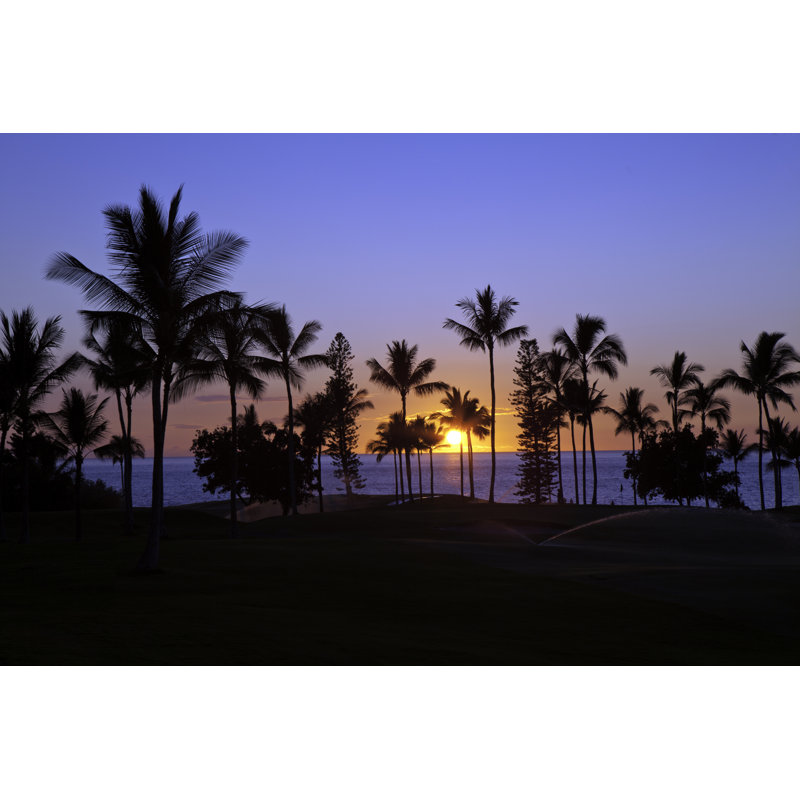 Coucher de soleil tropical par Jodijacobson, H 12 po x l 18 po