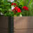 19-48" Wood Look Elevated Garden Bed, Composite Planter Box for Vegetables & Herbs, Patio-1522992884
