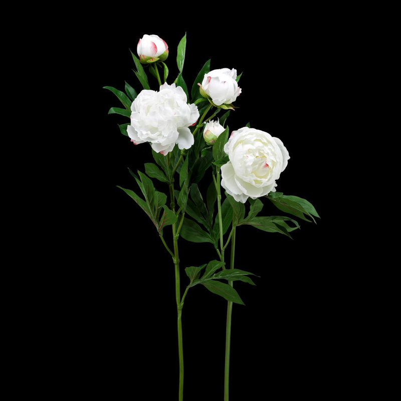 Soie pivoine H78 vaporisateurs de pivoine