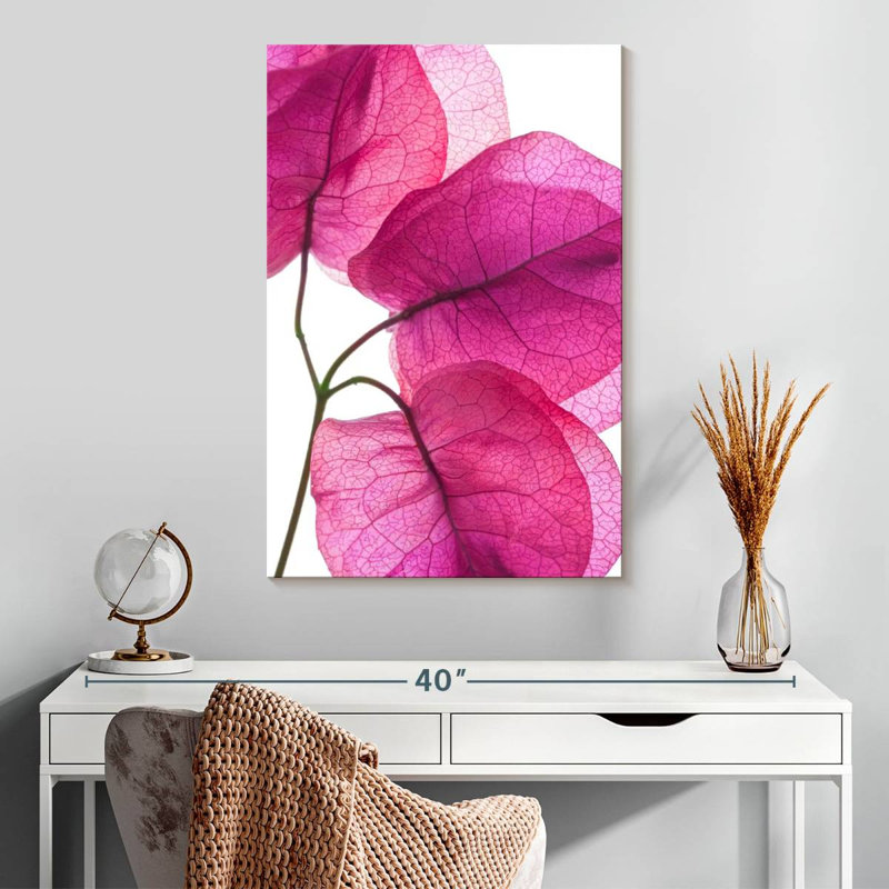 Harnek Bougainvillea, 30" H x 20" W
