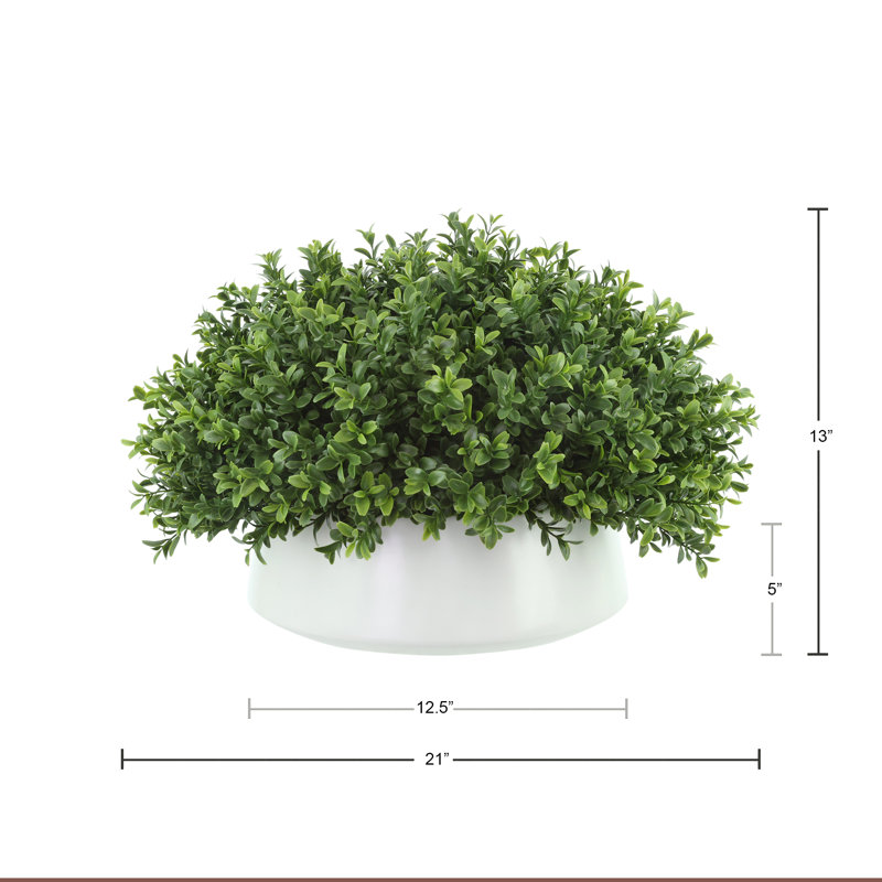 Faux Boxwood Plant in Ceramic Pot, 13"H x 21"W x 21"W