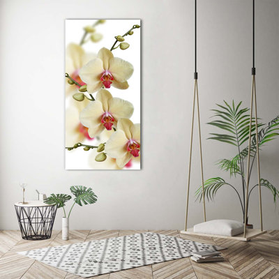 Orchid - Wrapped Canvas Print