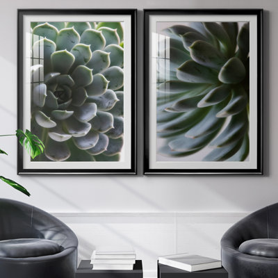 " Irene Weisz " 2 - Pieces